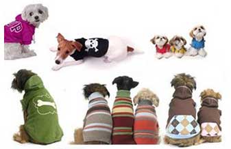 Pet a Teti Clínica Veterinária - Foto 1