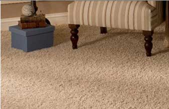 Carpetes Karnopp - Foto 1