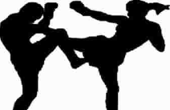 Winner Fight Team - Foto 1