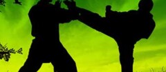 tae-kwon-doem-santa-cruz-do-sul-1442968572