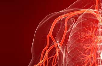 ANGIOLOGISTA SÉRGIO GHIGNATTI - Foto 1