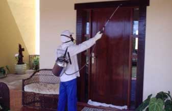 Agnes e Cia - Foto 1