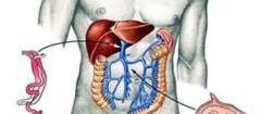 gastroenterologiaem-santa-cruz-do-sul-1444228631