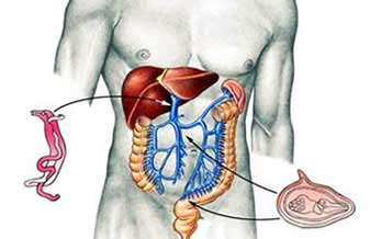 Gastrologista Caio Rossi - Foto 1