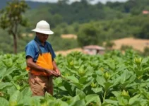 indústria do tabaco