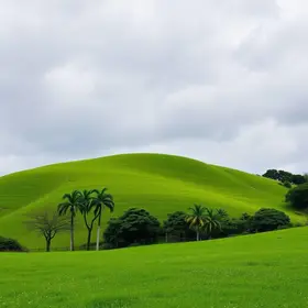 Verde é Vida