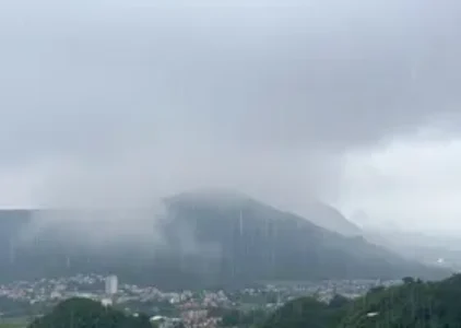 Últimas noticias de Santa Cruz do Sul