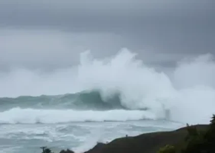 Últimas noticias de Santa Cruz do Sul