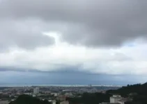 Santa Cruz do Sul