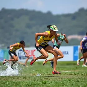 ENDURANCE BRASIL