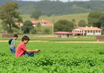 Escolas Famílias Agrícolas do Rio Grande do Sul