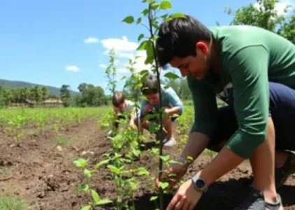 Últimas noticias de Santa Cruz do Sul