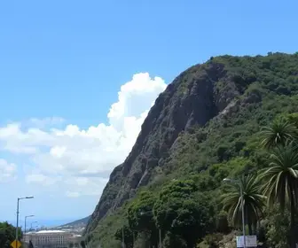 acesso à justiça