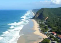 seletivos da Prefeitura de Santa Cruz do Sul
